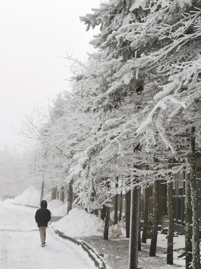 Gorgeous House For Ski Retreat Or Mountain Vacations Snowshoe Eksteriør billede